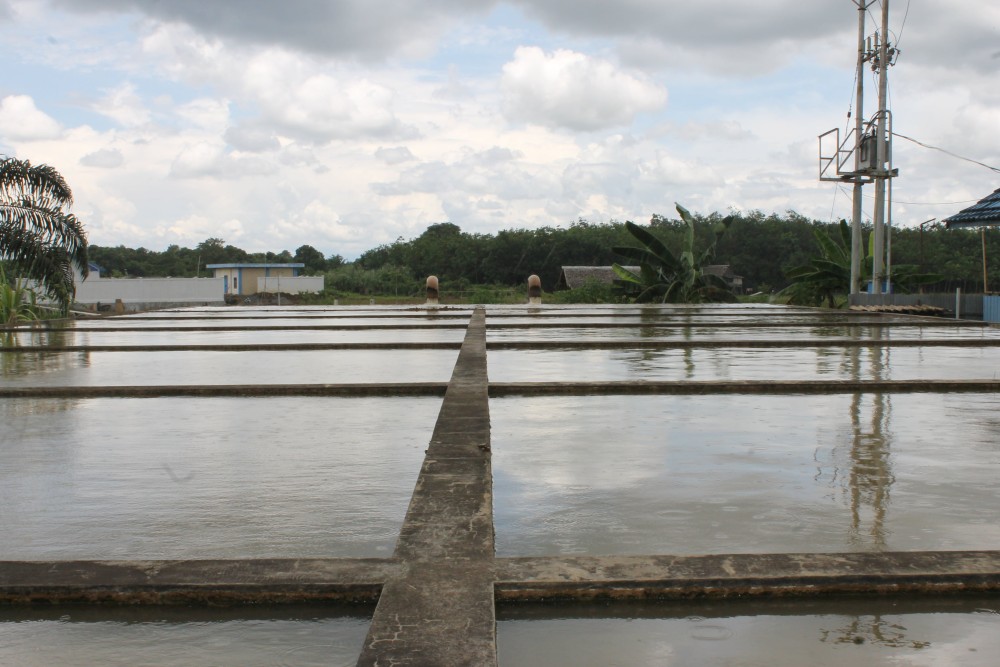 BNA Batulicin - IPA Karang Bintang